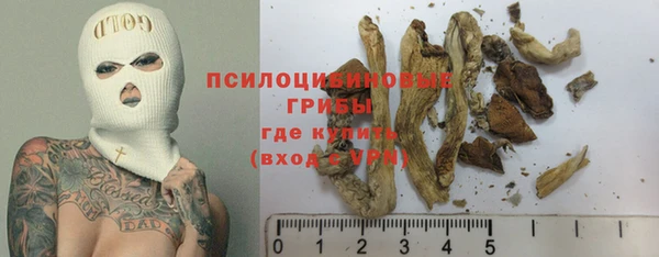 спиды Алексин