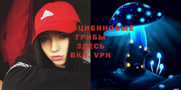 спиды Алексин