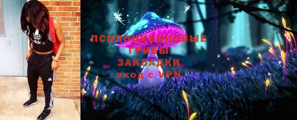 спиды Алексин