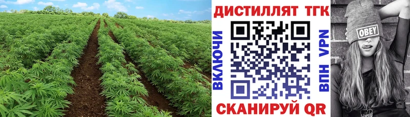 ТГК Wax магазин наркотиков Сосновый Бор
